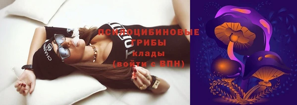 spice Алексеевка