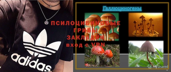 амф Алзамай