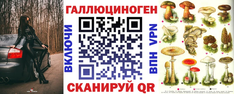 Купить закладки  Переславль-Залесский  Псилоцибиновые грибы Cubensis 